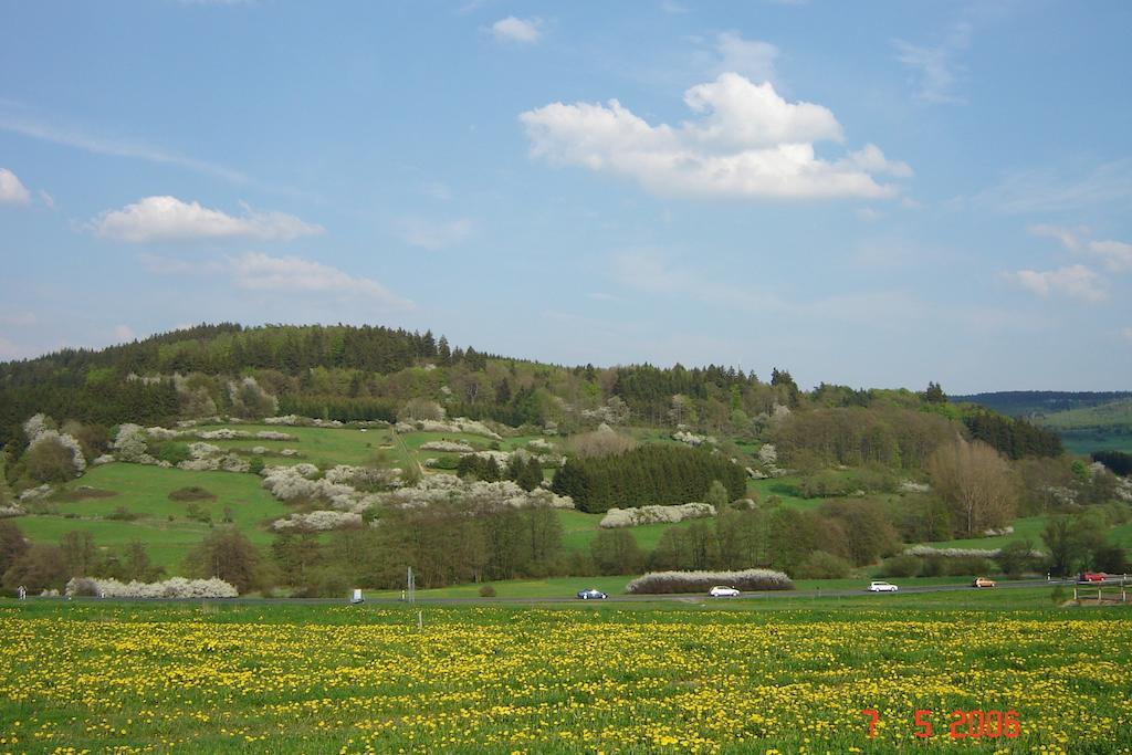 Urlaub Auf Dem Bauernhof Marx Villa Kelberg Dış mekan fotoğraf